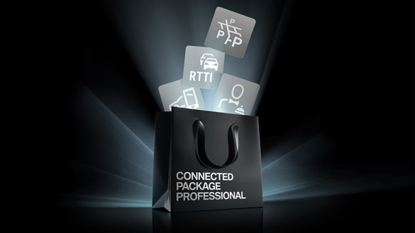 Das Connected Package Professional ist serienmäßig im BMW X5 enthalten.